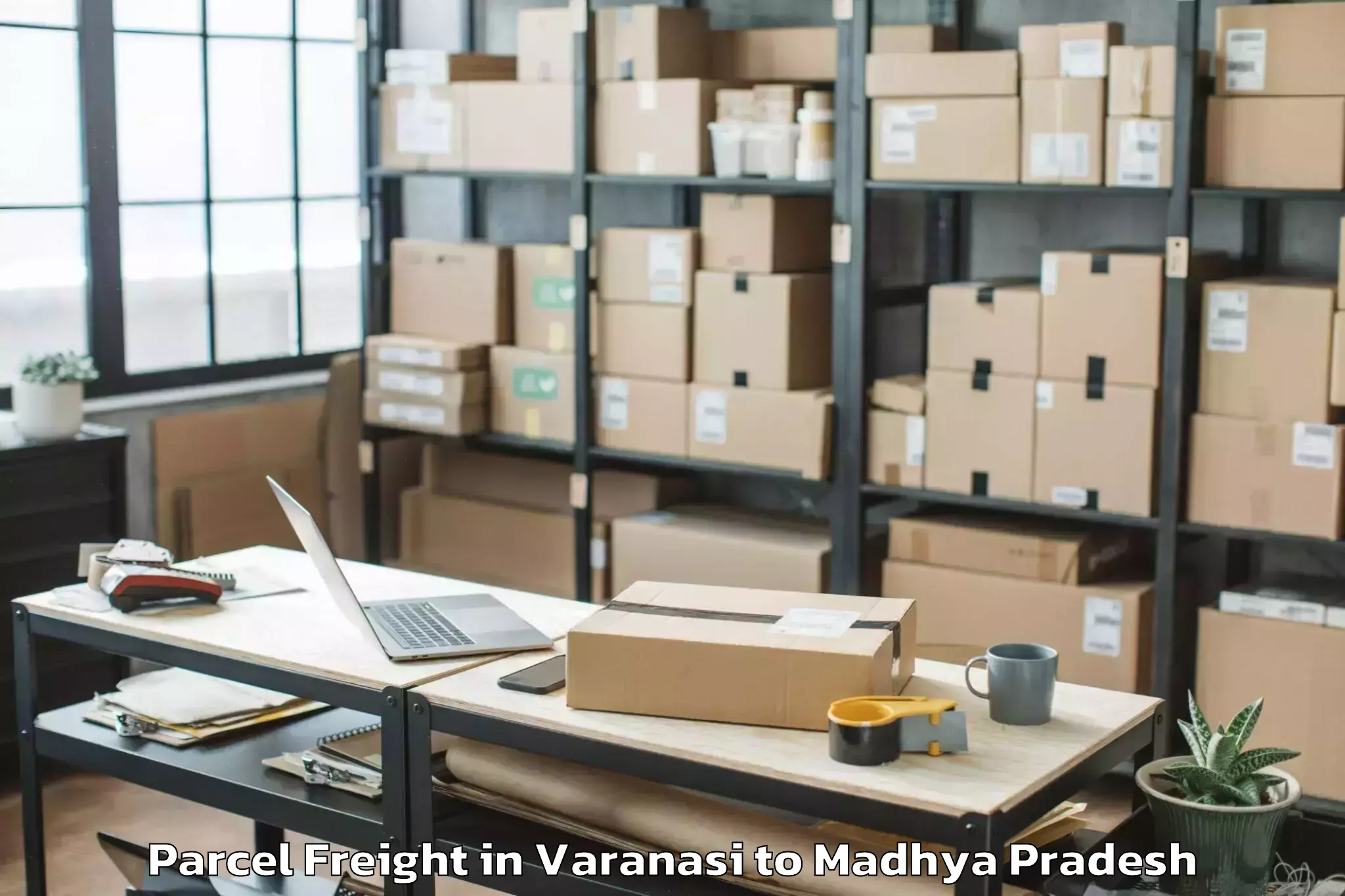 Quality Varanasi to Narwar Parcel Freight